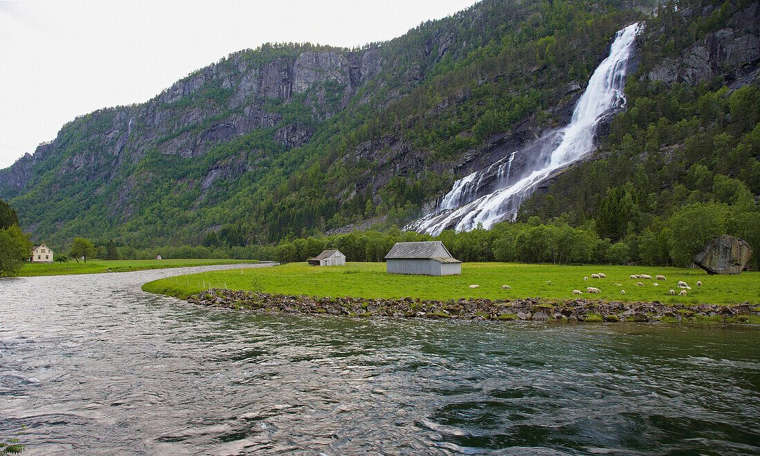 Wasserfall, Vidfossen, bei Odda, RV 13, Provinz Hordaland, Vestlandet, Norwegen, Europa