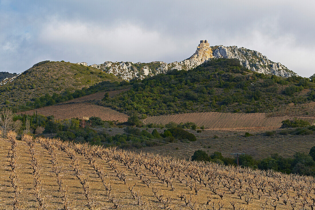 View over the wine growing area at Château de Quéribus, Corbières, Dept. Pyrénées-Orientales, Languedoc-Roussillon, France, Europe