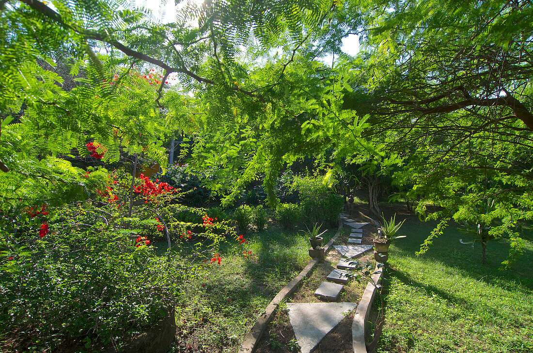 Path in the garden, Beauties of Nature, small lodge near Yala National Park, Kirinda in the South of Sri Lanka