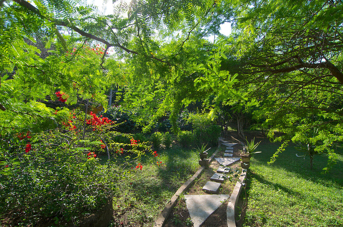 Weg im Garten des Beauties of Nature, kleine Unterkunft, Hotel, Kirinda im Süden von Sri Lanka