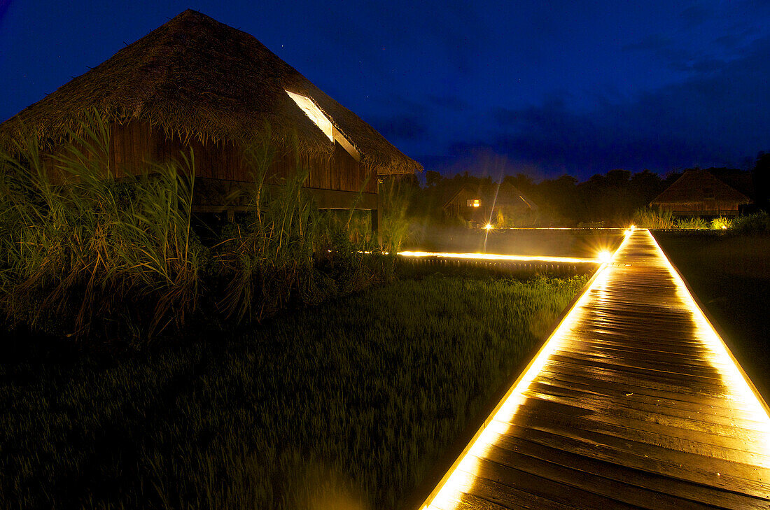 Wooden gangway with lights at dusk and bungalows on stilts standing in rice paddies, Jetwing Hotel Vil Uyana, Sigiriya, Matale Distict, cultural triangle, Sri Lanka
