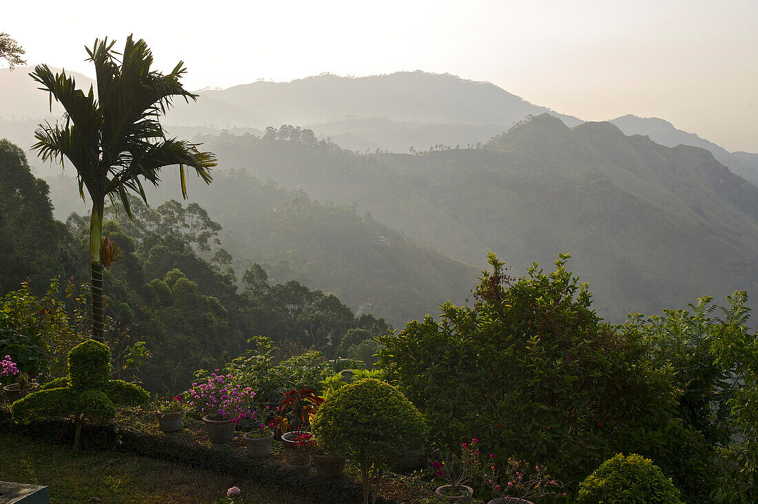 Garten und Blick ins Hügelland bei Ella, Hochland, Sri Lanka