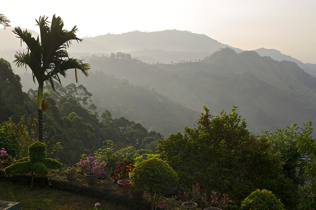 View from a garden over the hills at Ella, hill county, Sri Lanka