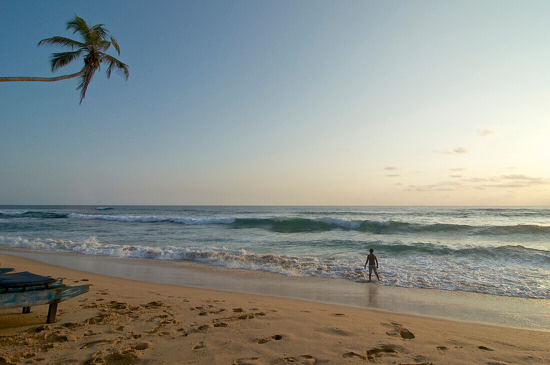 Palm tree over the beach, lonesome person on the beach in the evening, Hikkaduwa, Southwest coast Sri Lanka
