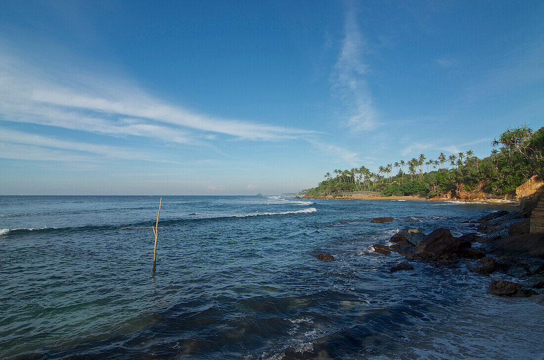 Rocky coastline with palm trees near Weligama, Mirissa, South Sri Lanka