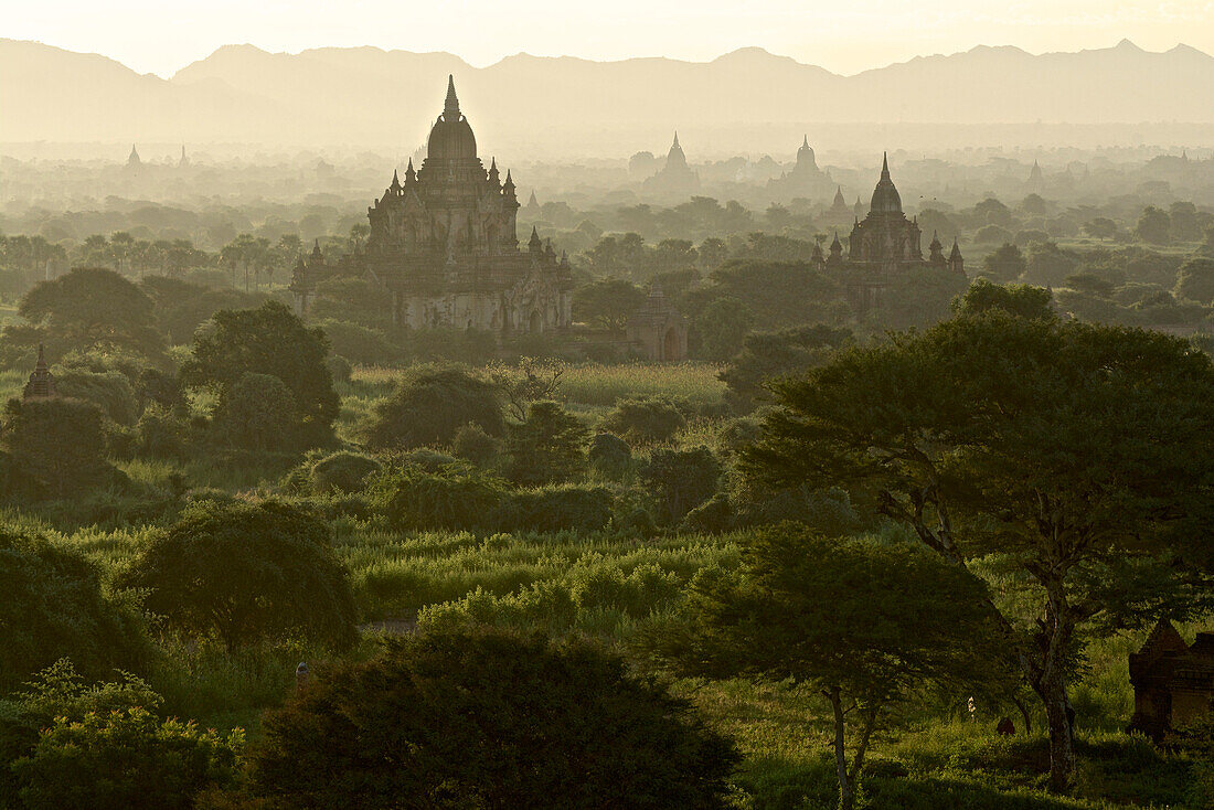 Morgendlicher Blick bei Sonnenaufgang über das Pagodenfeld in Bagan, Pagan, Myanmar, Burma