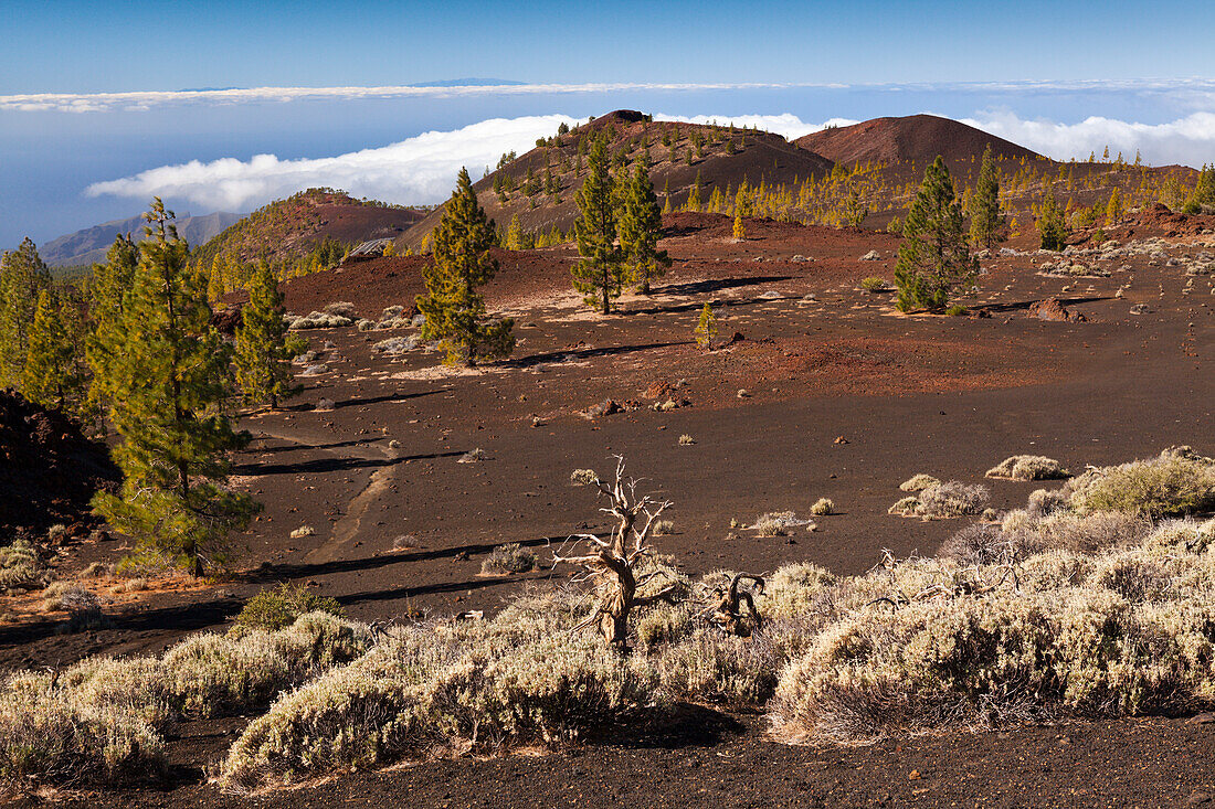 Kraterlandschaft des Teide Nationalparks, Teneriffa, Spanien