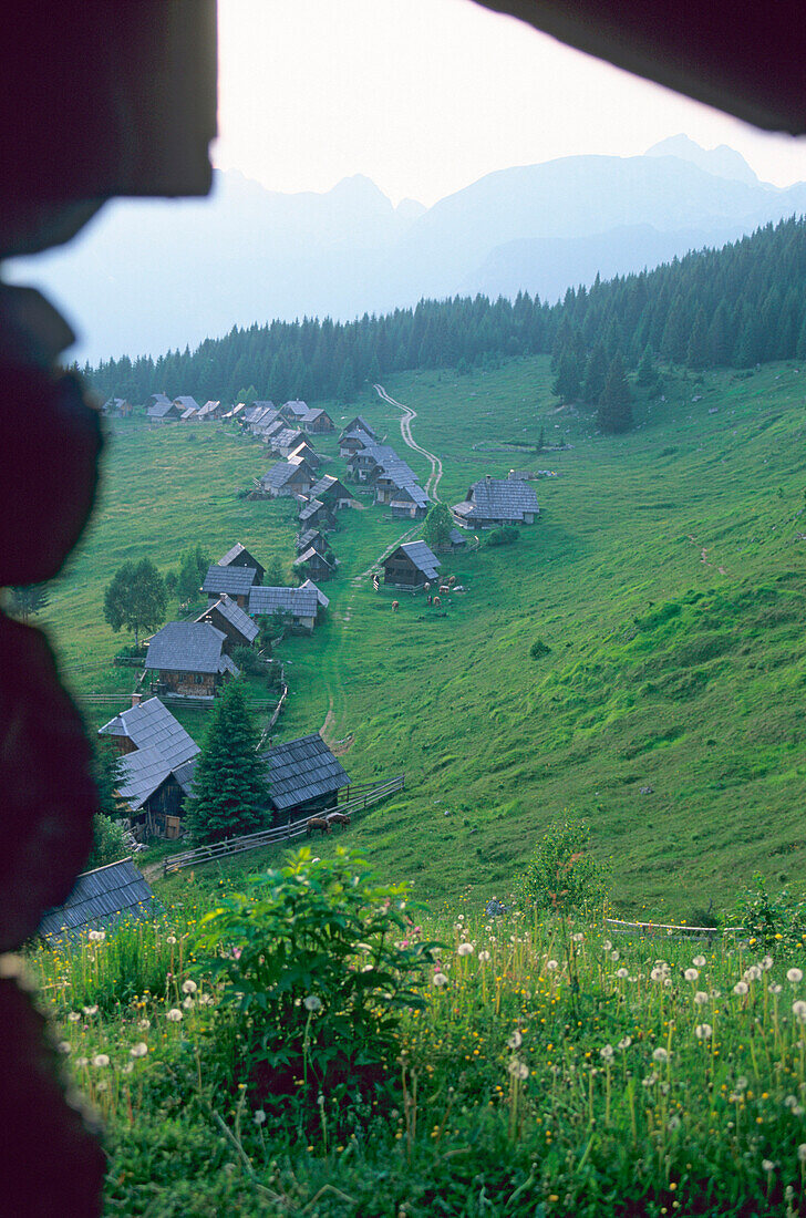 Hochalmdorf Zajamniki, Pokljuka, Slowenien