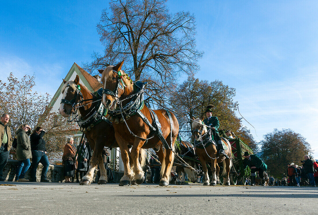 Procession to honour St. Leonard, Benediktbeuern,Bad Toelz, Wolfratshausen, Upper Bavaria, Bavaria, Germany