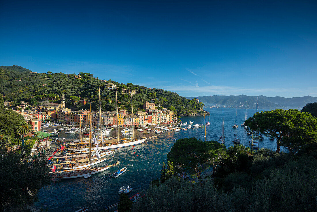 Portofino, Provinz Genua, Riviera di Levante, Ligurien, Italien