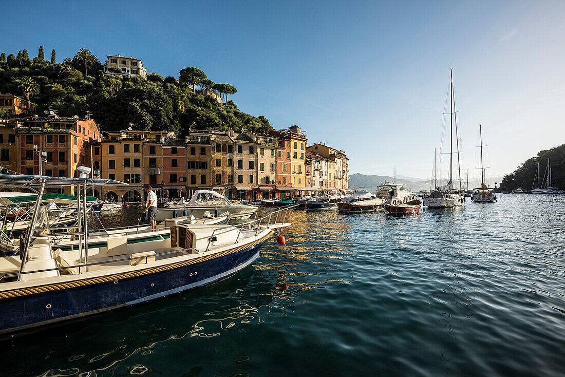 Portofino with harbour, province of Genua, Italian Riviera, Liguria, Italy