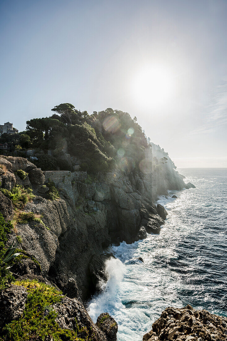 Coastline near Portofino, province of Genua, Italian Riviera, Liguria, Italy