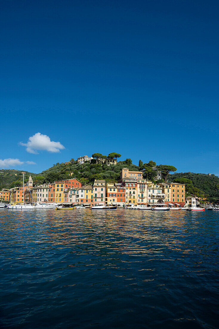 Portofino, Provinz Genua, Riviera di Levante, Ligurien, Italien