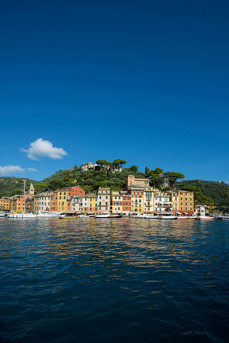 Portofino, province of Genua, Italian Riviera, Liguria, Italy