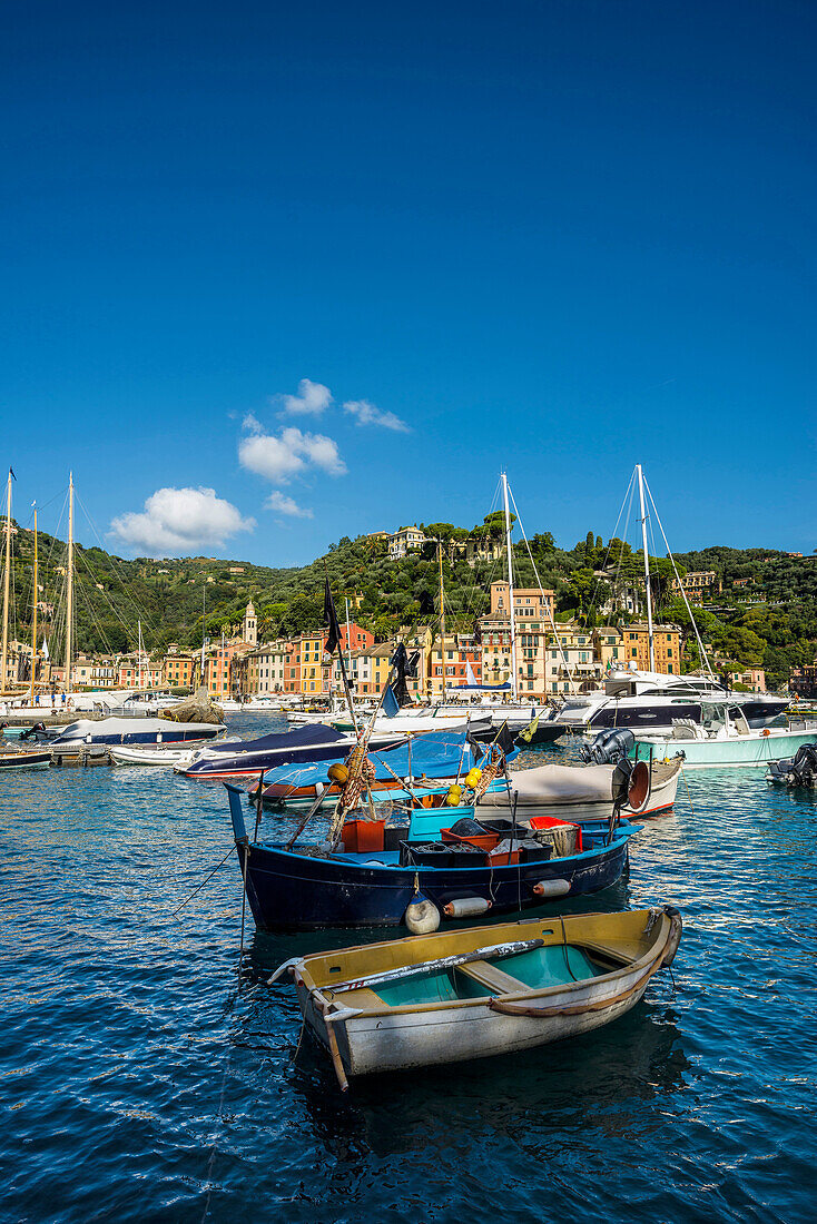 Fischerboote im Hafen, Portofino, Provinz Genua, Riviera di Levante, Ligurien, Italien