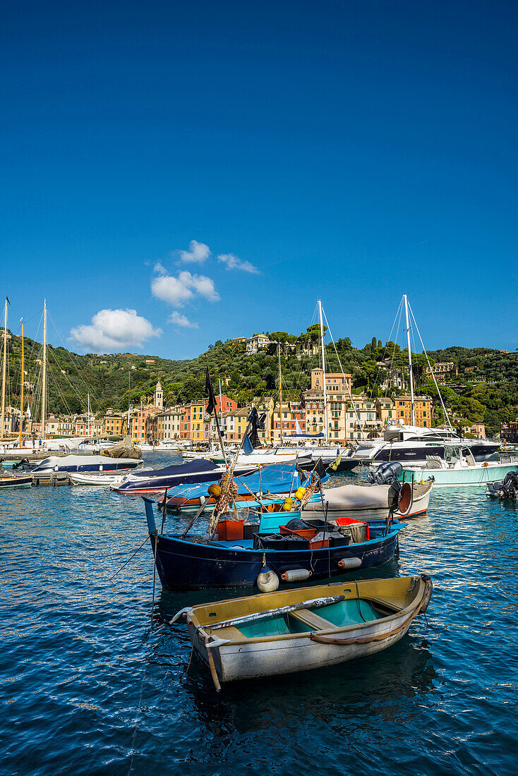 Fishing boats in the harbour, Portofino, province of Genua, Italian Riviera, Liguria, Italy