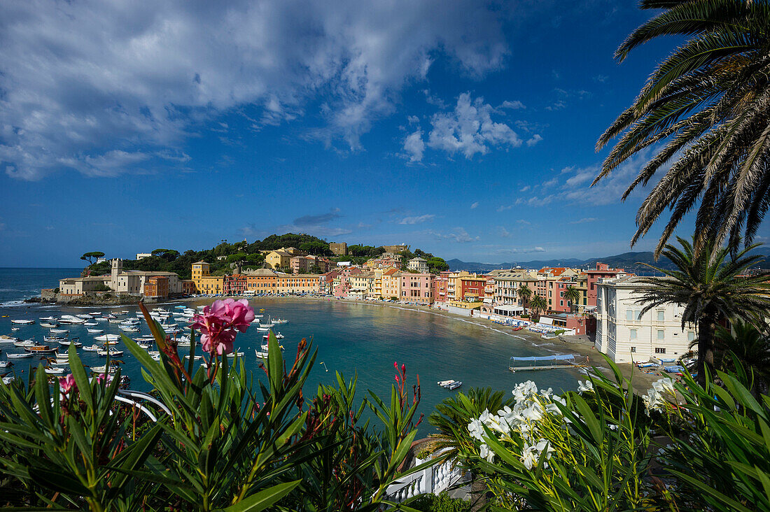 Baia del Silencio, Sestri Levante, Provinz Genua, Riviera di Levante, Ligurien, Italien