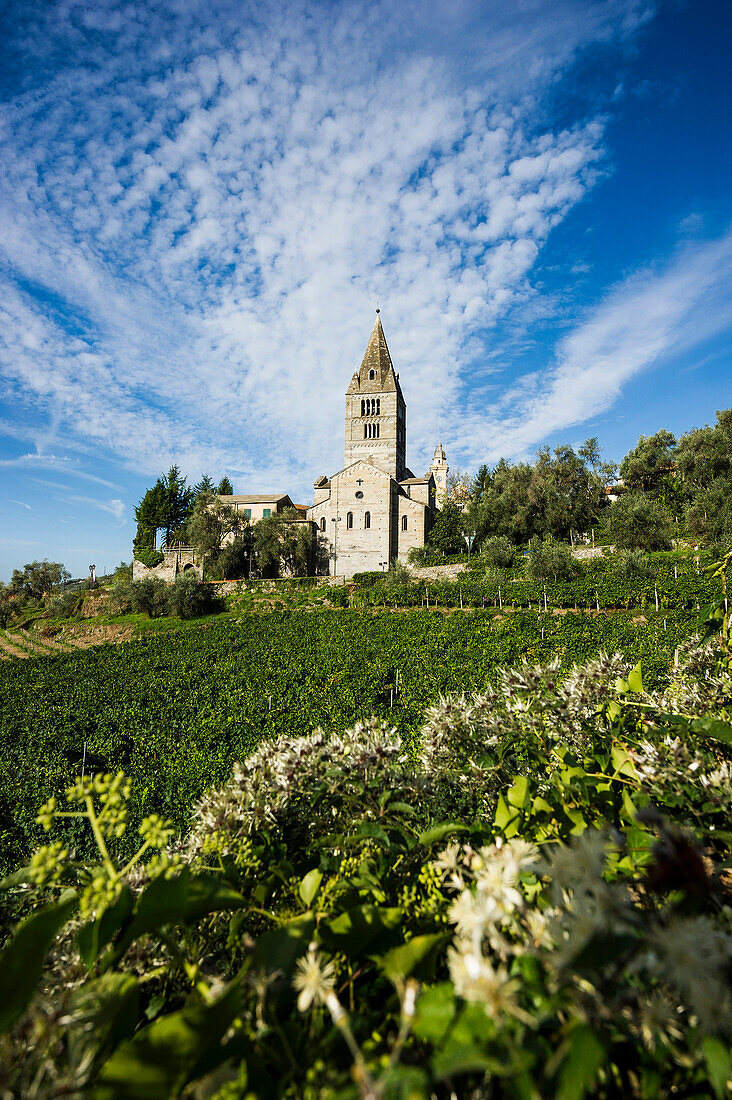 Basilika dei Fieschi, Chiavari, province of Genua, Italian Riviera, Liguria, Italy