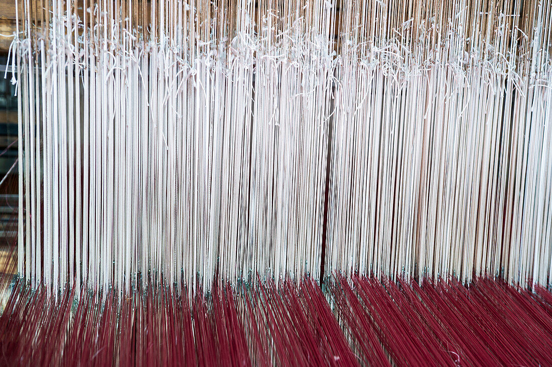 Weaving loom, production of damask, province of Genua, Italian Riviera, Liguria, Italy