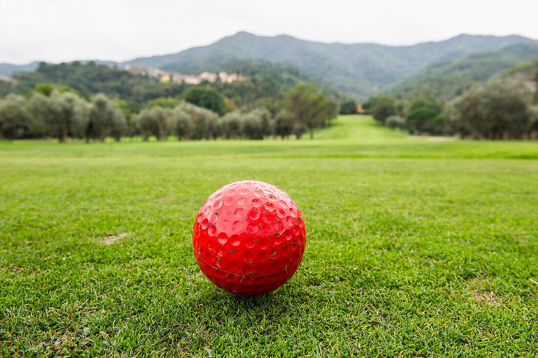 Golfball mitten auf dem Golfplatz, Provinz Savona, Riviera di Levante, Ligurien, Italien