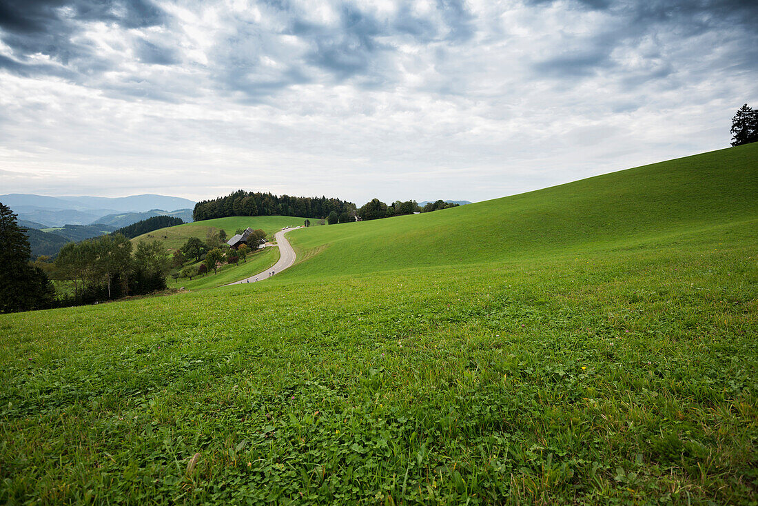 landscape near St Maergen, Black Forest, Baden-Wuerttemberg, Germany