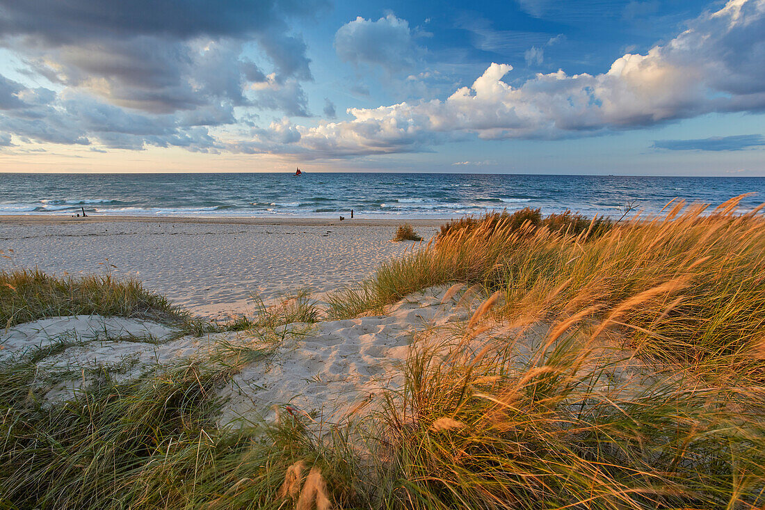 Beach near Kuehlungsborn, Baltic sea coast, Mecklenburg-Vorpomerania, Germany