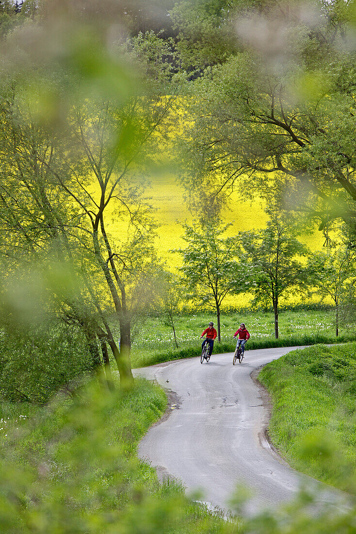 Two cyclists riding electric bicycles, Tanna, Thuringia, Germany