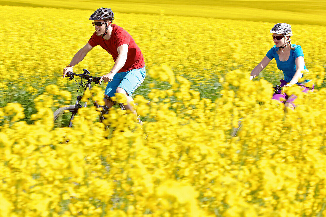 Two cyclists with electric bicycles between blooming canola fields, Tanna, Thuringia, Germany