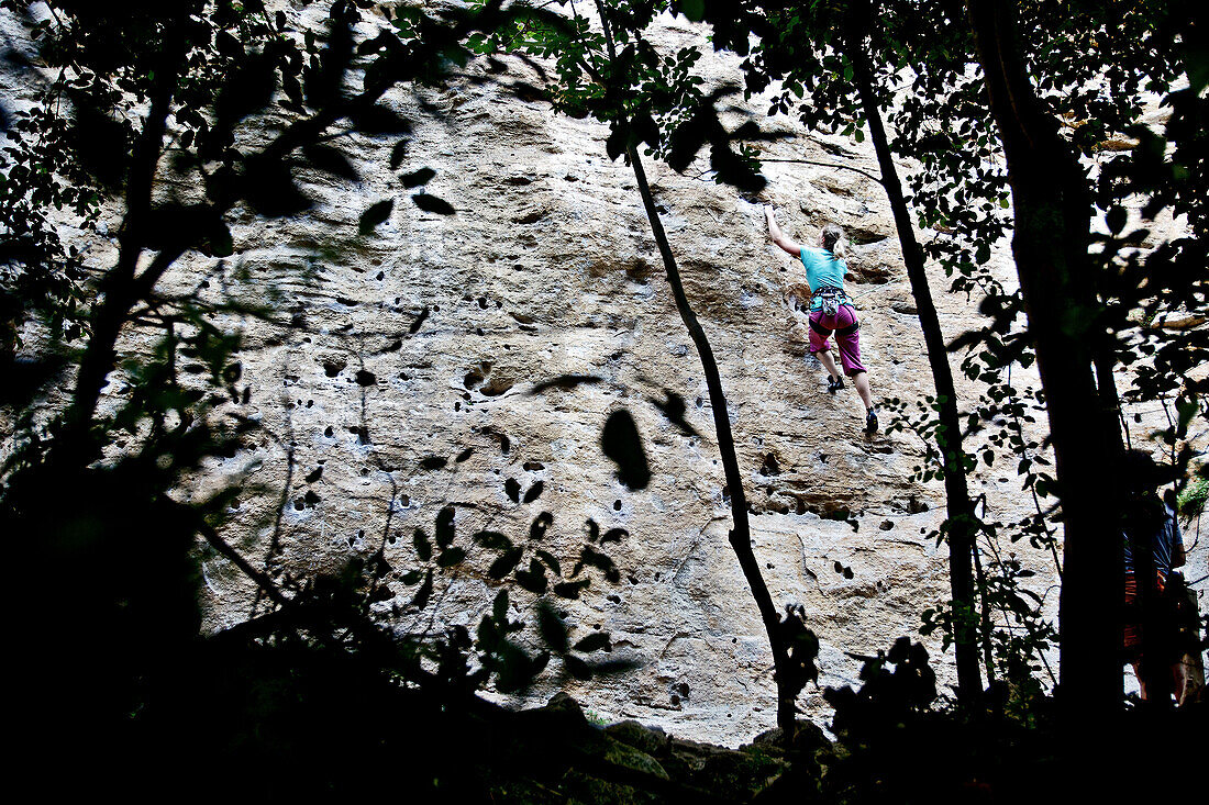 Woman rock climbing, Finale Ligure, Province of Savona, Liguria, Italy