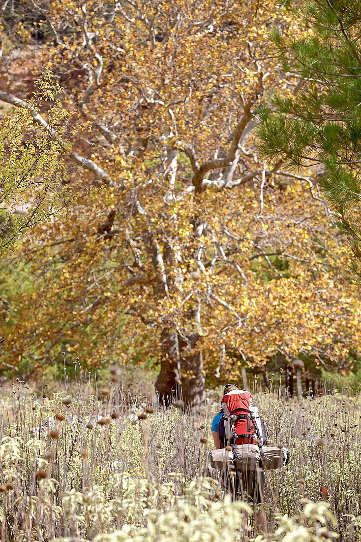 Woman hiking along long-distance footpath Lycian Way, Antalya, Turkey