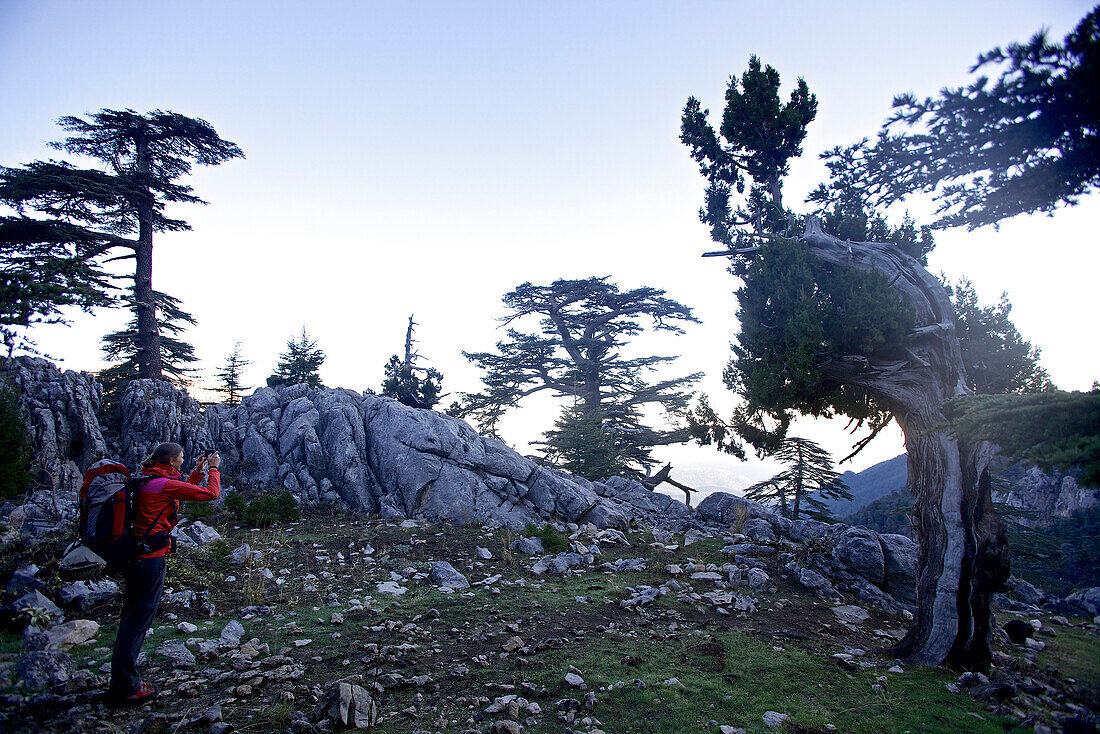 Woman photographing a tree beside long-distance footpath Lycian Way, Antalya, Turkey
