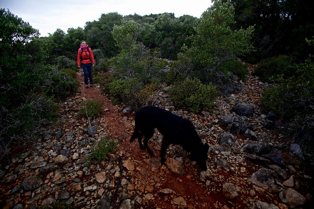 Woman and a dog hiking along long-distance footpath Lycian Way, Antalya, Turkey