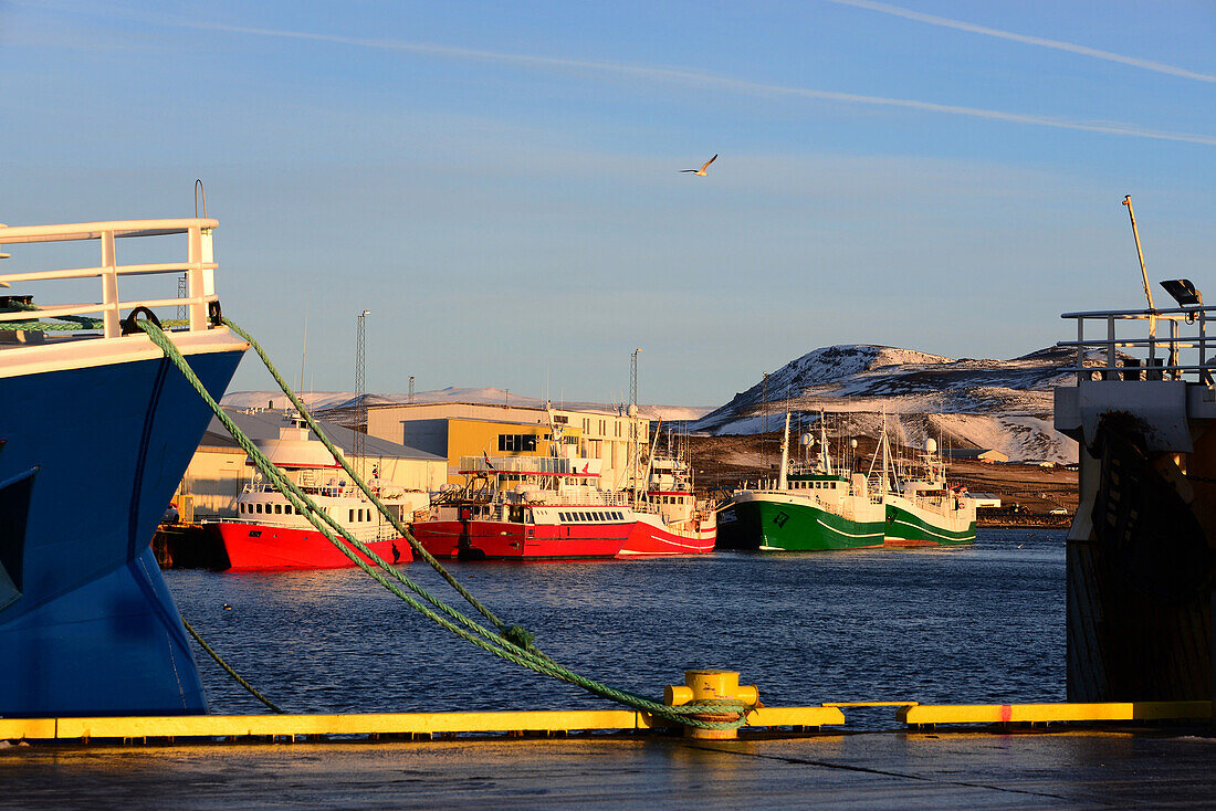 im Hafen von Grindavik an der Südküste auf der Halbinsel Reykjanes, Island