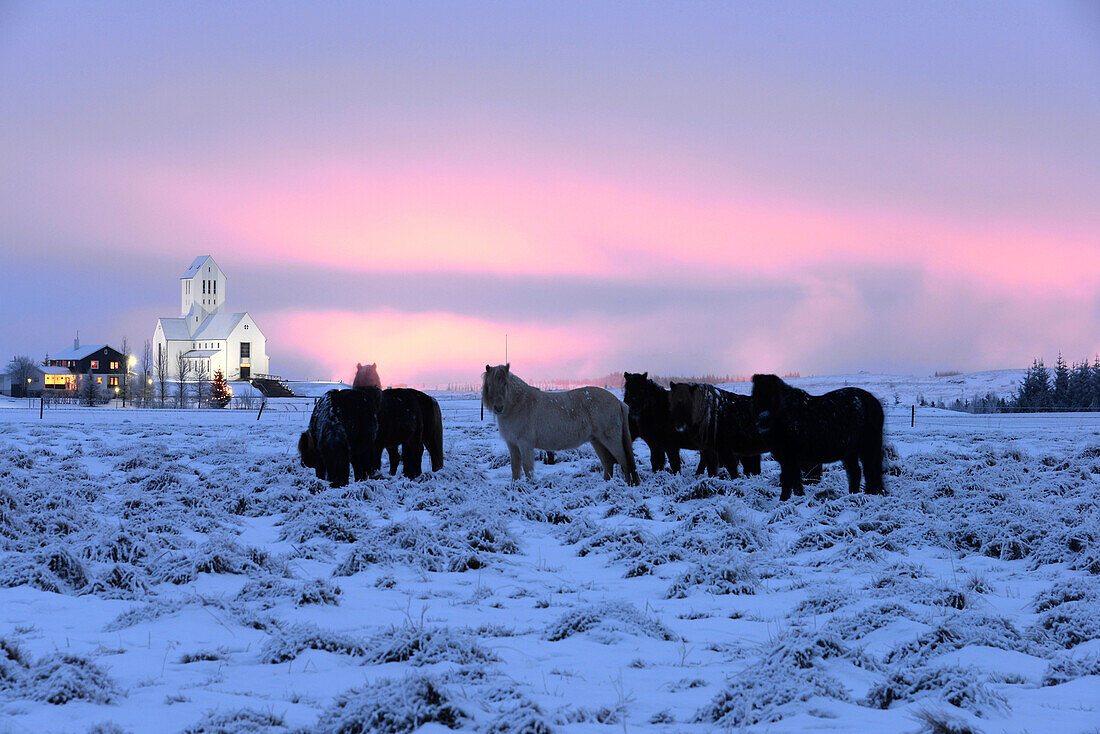 Blick zur Skaholt-Kirche am Goldenen Zirkel, Island im Winter,  Island