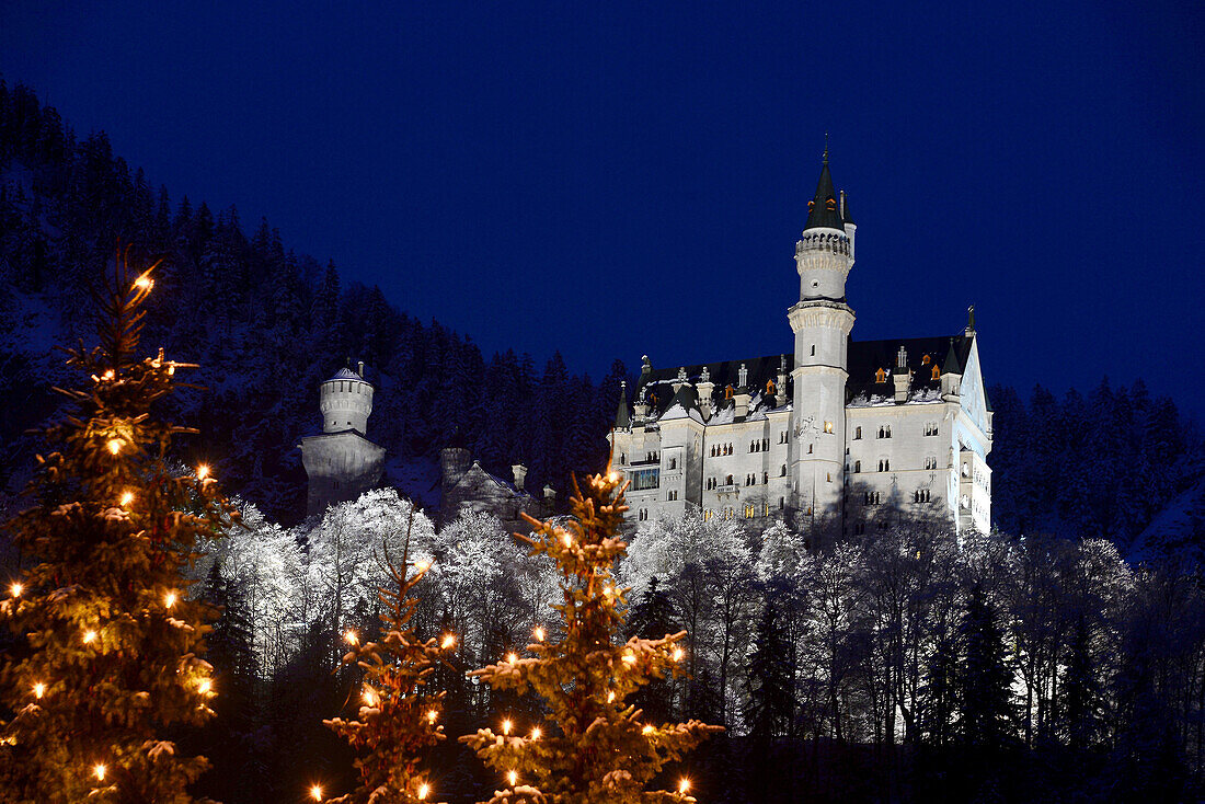 Neuschwanstein castle in winter, Allgaeu, Swabia, Bavaria, Germany