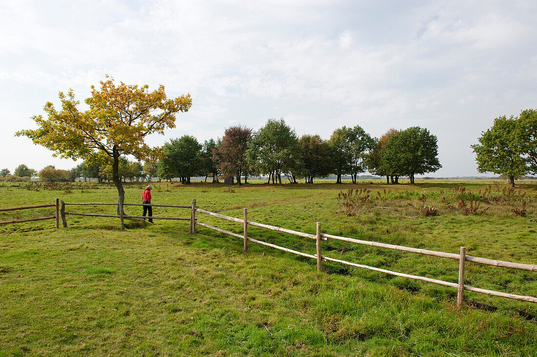 Pasture landscape, Biebrza National Park, Podlaskie Voivodeship, Poland