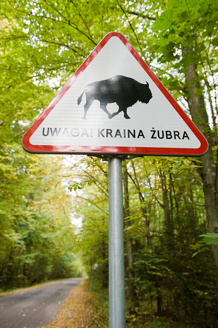 Wisent warning sign, Bialowieza National Park, Podlaskie Voivodeship, Poland