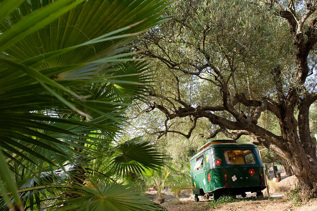 Wohnwagen in einem Olivenhain, Finca Ecologica, Andalusien, Spanien