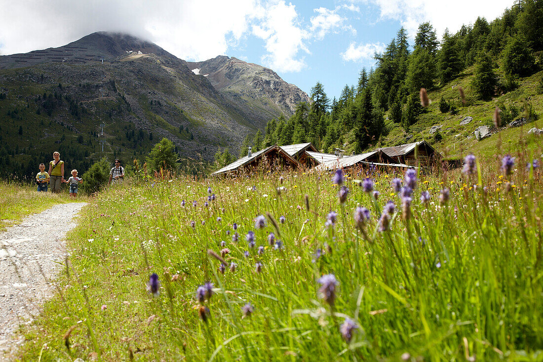 Almwiese und Hütte bei Sölden, Tirol, Österreich