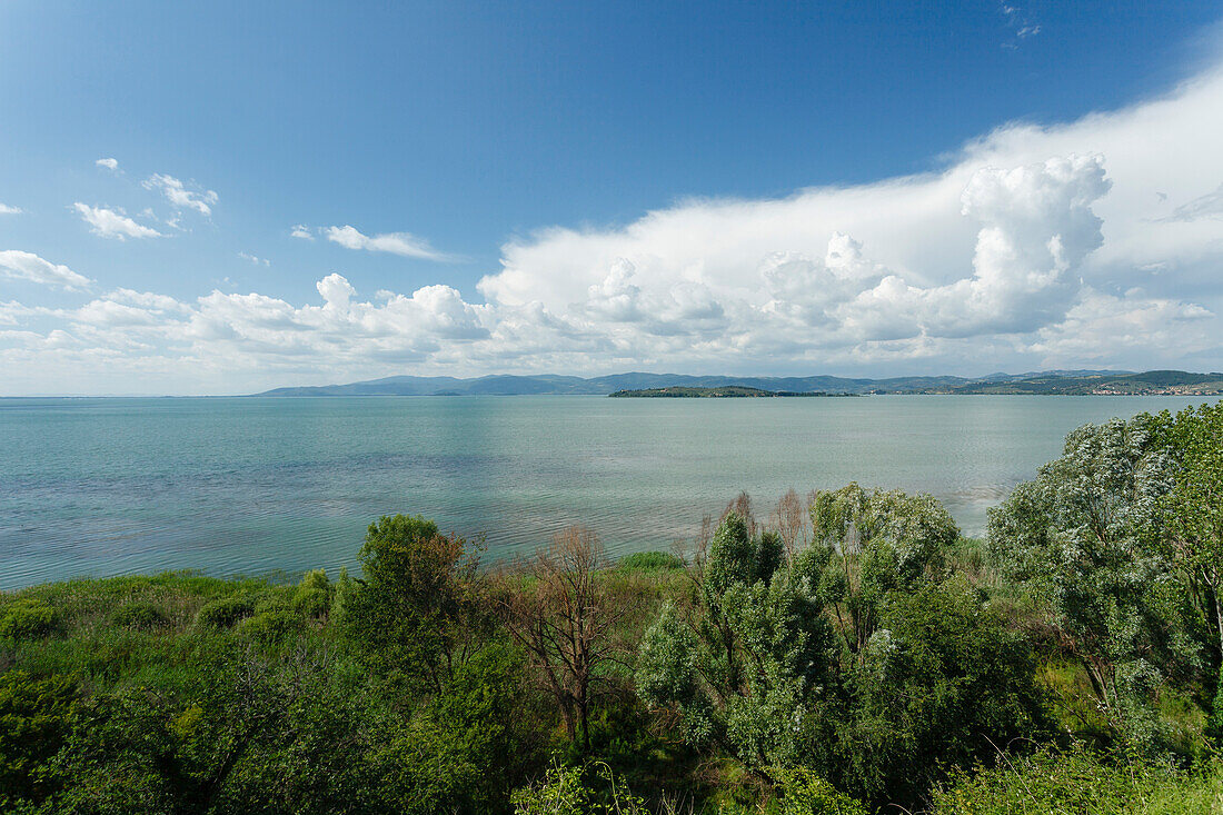 Lago Trasimeno, lake, province of Perugia, Umbria, Italy, Europe