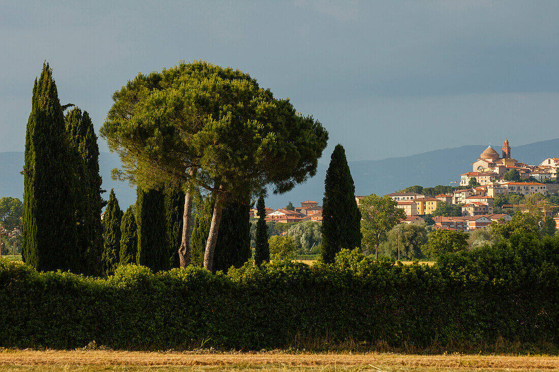 Castiglione del Lago with pine trees and cypress trees, Lago Trasimeno, province of Perugia, Umbria, Italy, Europe