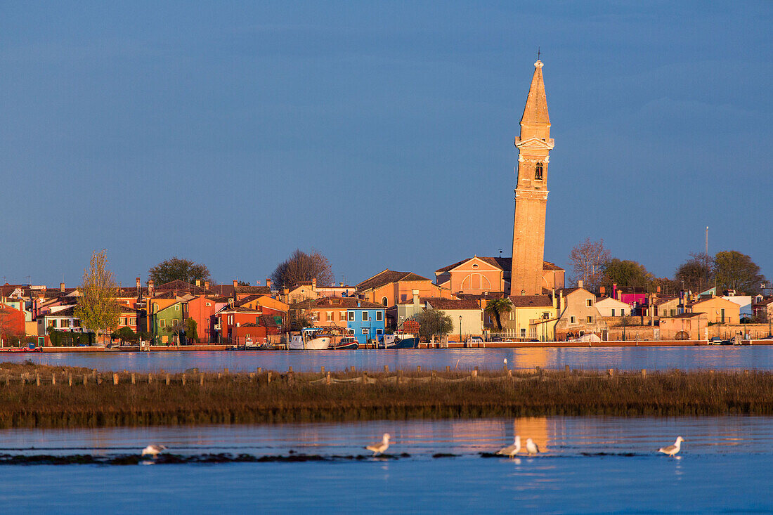 Lagune von Venedig, Insel Burano, schiefer Kirchturm, Fischerdorf, bunte Fassaden, Fischernetze, Salzwiesen, Spiegelung m Wasser, Italien