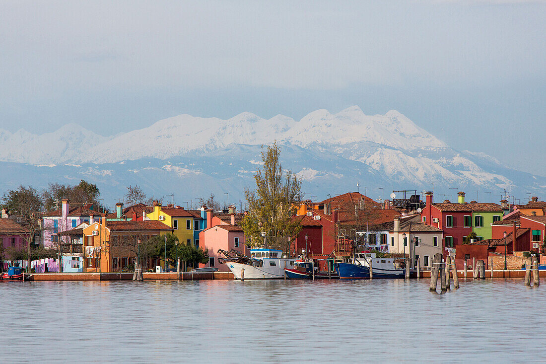Venetian Lagoon and the Island of Burano, Fishing village with colourful house facades, Snow-capped mountains of the Alps in the background, Veneto, Italy