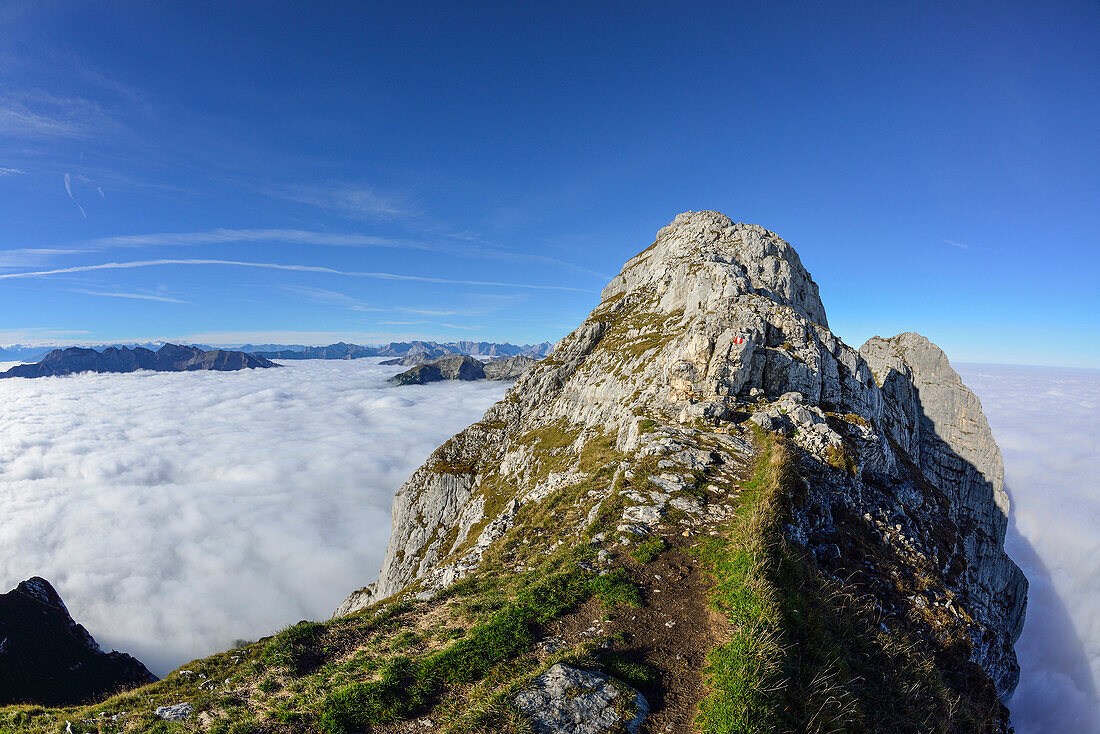 Path leading towards Guffert, sea of fog in the valley, Guffert, Rofan range, Tyrol, Austria