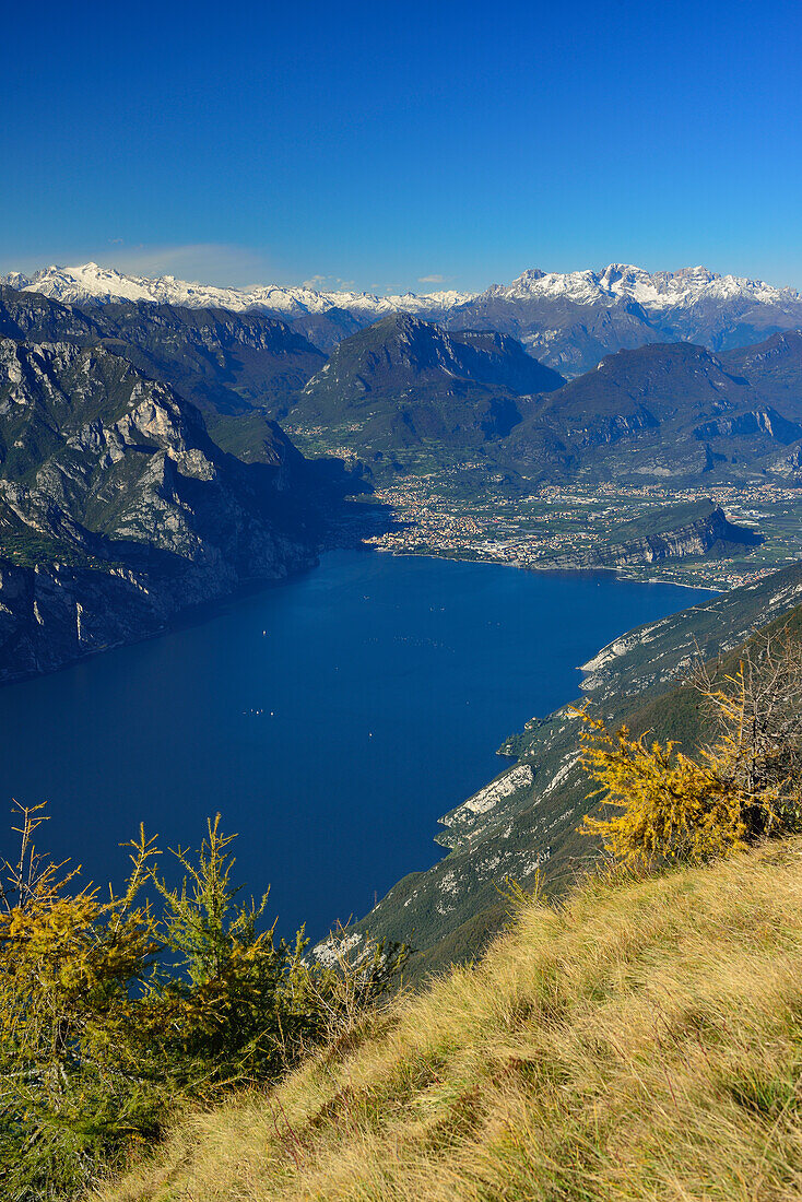 Lake Garda with Riva and view to Presanella range, Brenta range and valley of Sarca, Ventrar, Monte Baldo, Lake Garda range, Trentino, Italy