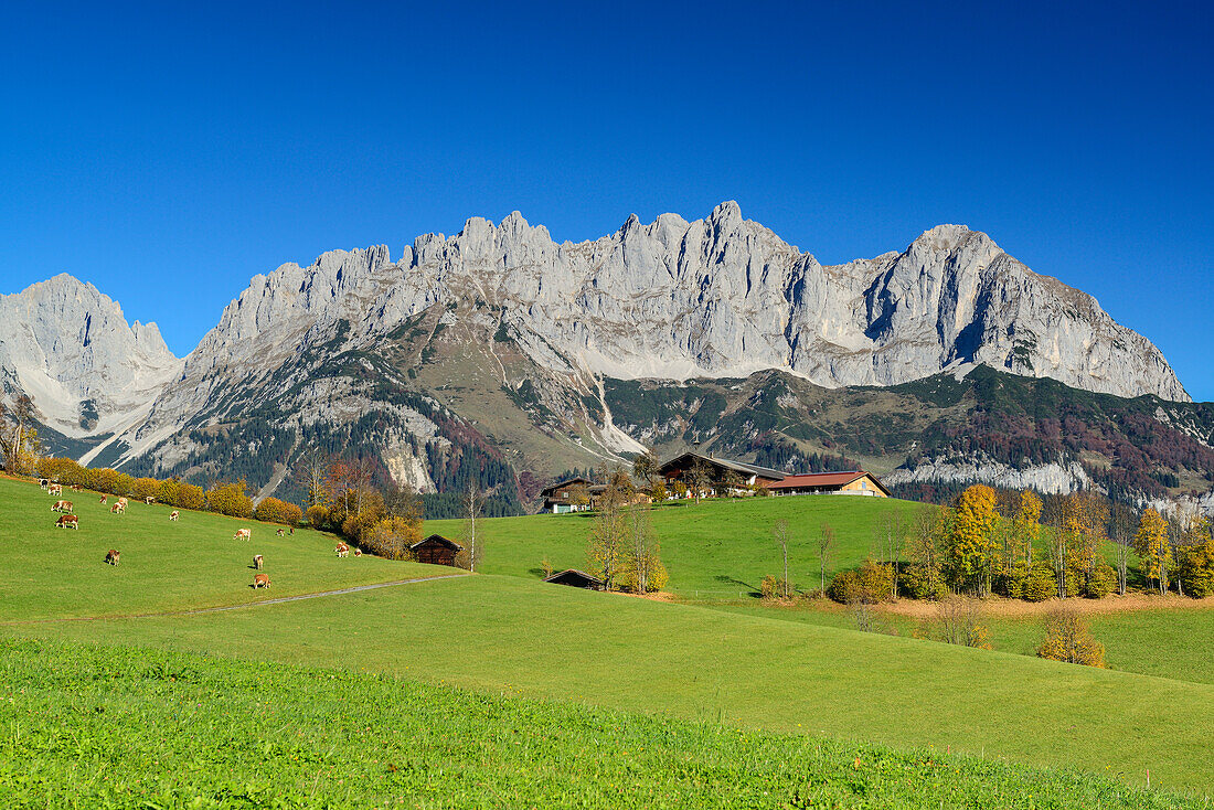 Wilder Kaiser from south with Karlspitzen, Regalmspitze, Ackerlspitze and Maukspitze, Wilder Kaiser, Kaiser range, Tyrol, Austria