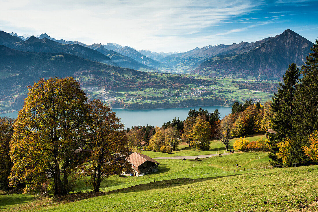 Blick auf Thuner See und das Kandertal, Beatenberg, Berner Oberland, Kanton Bern, Schweiz