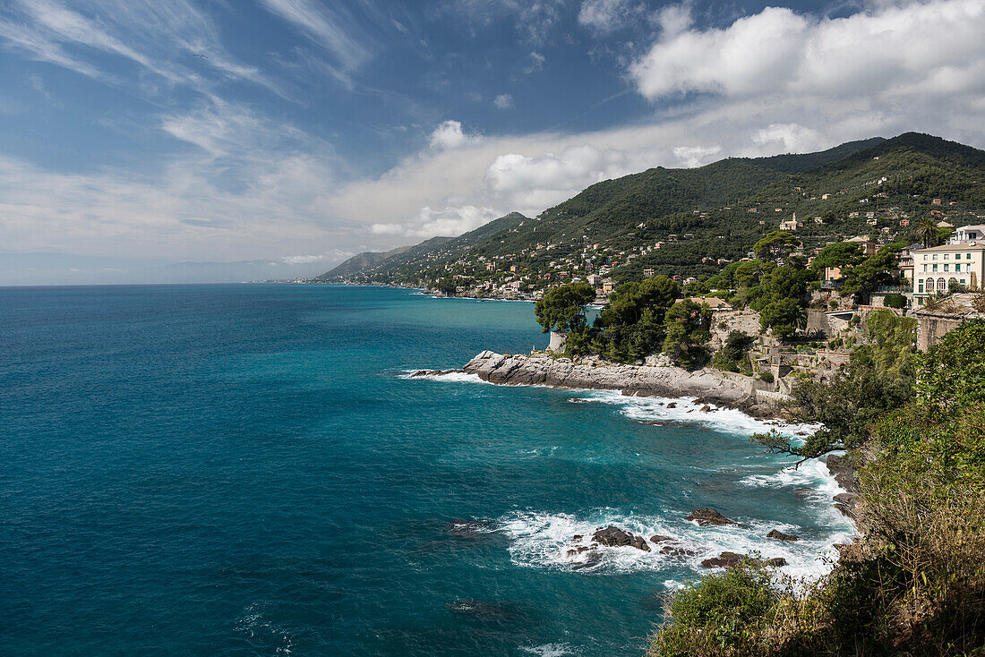 Küste bei Camogli, Provinz Genua, Riviera di Levante, Ligurien, Italien