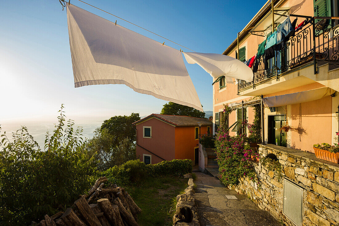 Wäsche auf einer Leine, San Rocco, Camogli, Provinz Genua, Riviera di Levante, Ligurien, Italien