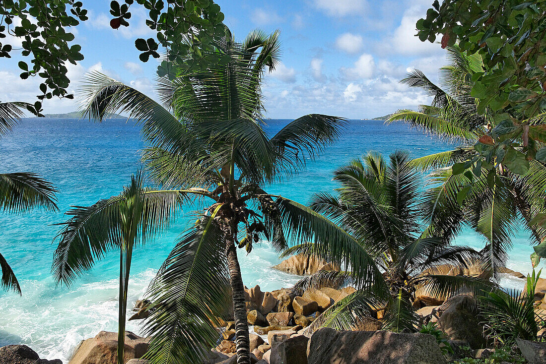 Anse Patates beach, La Digue, Seychelles, Indian Ocean, Africa